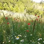 בית נופש Spacious Countryside Escape
